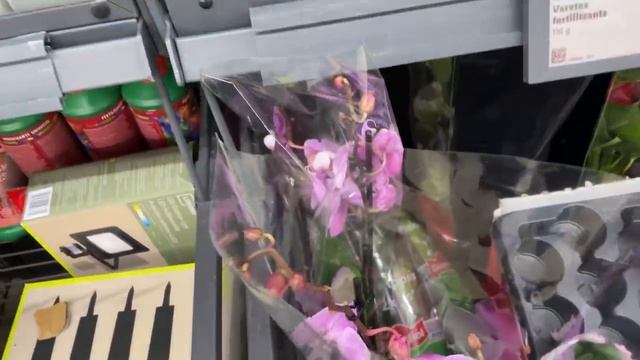 КУПИЛИ ПРОДУКТЫ. ЧТО ИМЕННО И СКОЛЬКО СТОЯТ