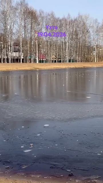 #Ухта …парк КиО…Республика Коми…19.04.2026