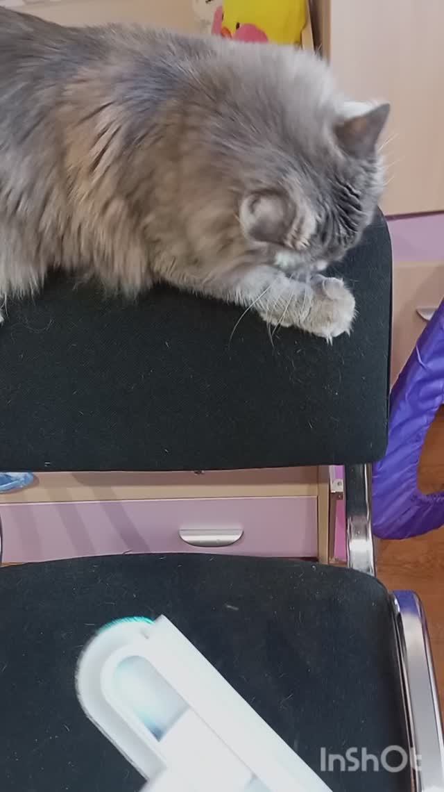 Влог. Убираюсь в комнате, собираюсь гулять. Суббота.