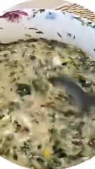 D17095a0d7175f74a6a005a9689c2549