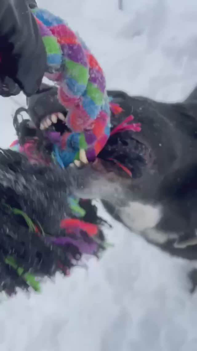 Посмотрите, какой же прекрасный парень пропадает😣