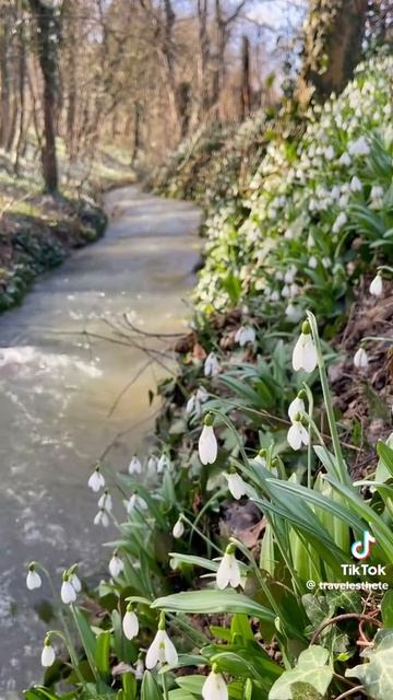 04574b86c4ff0e6d7f2e260f998a9223.mp4