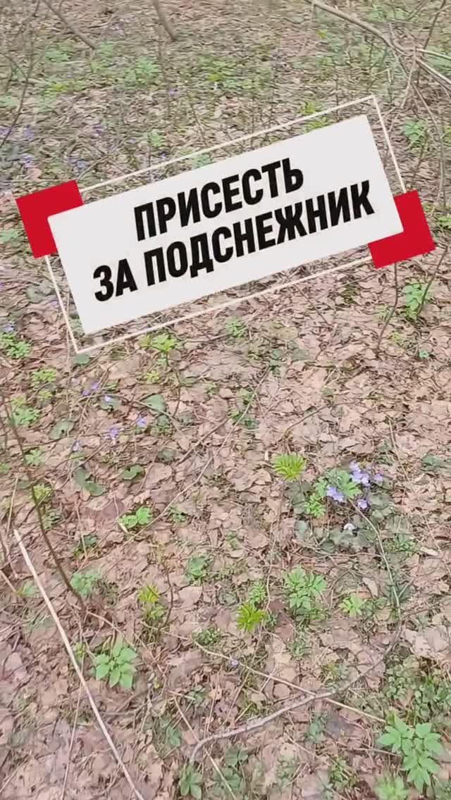 7695ebb06979900ed172d1667fa9fb0a