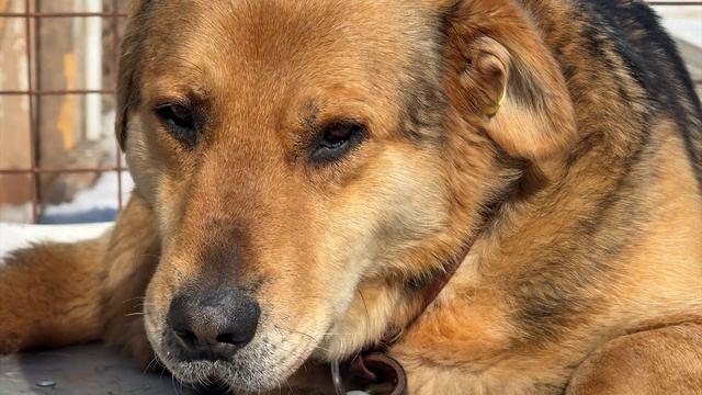 Fd60d94c77915f36104b8295d038a659