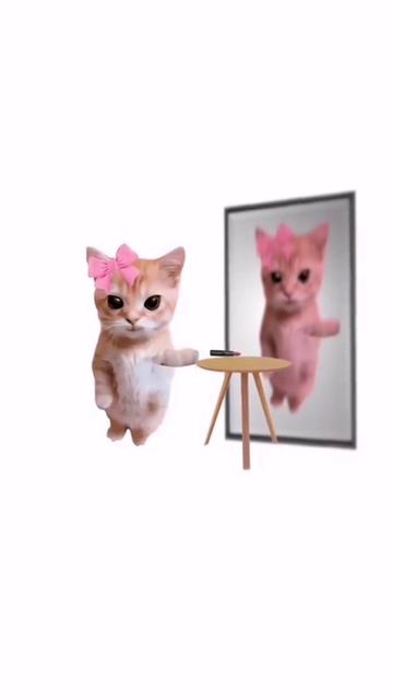 котята пряснят)