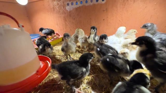 Нам восемь дней! Растём!