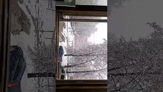 снежное утро.