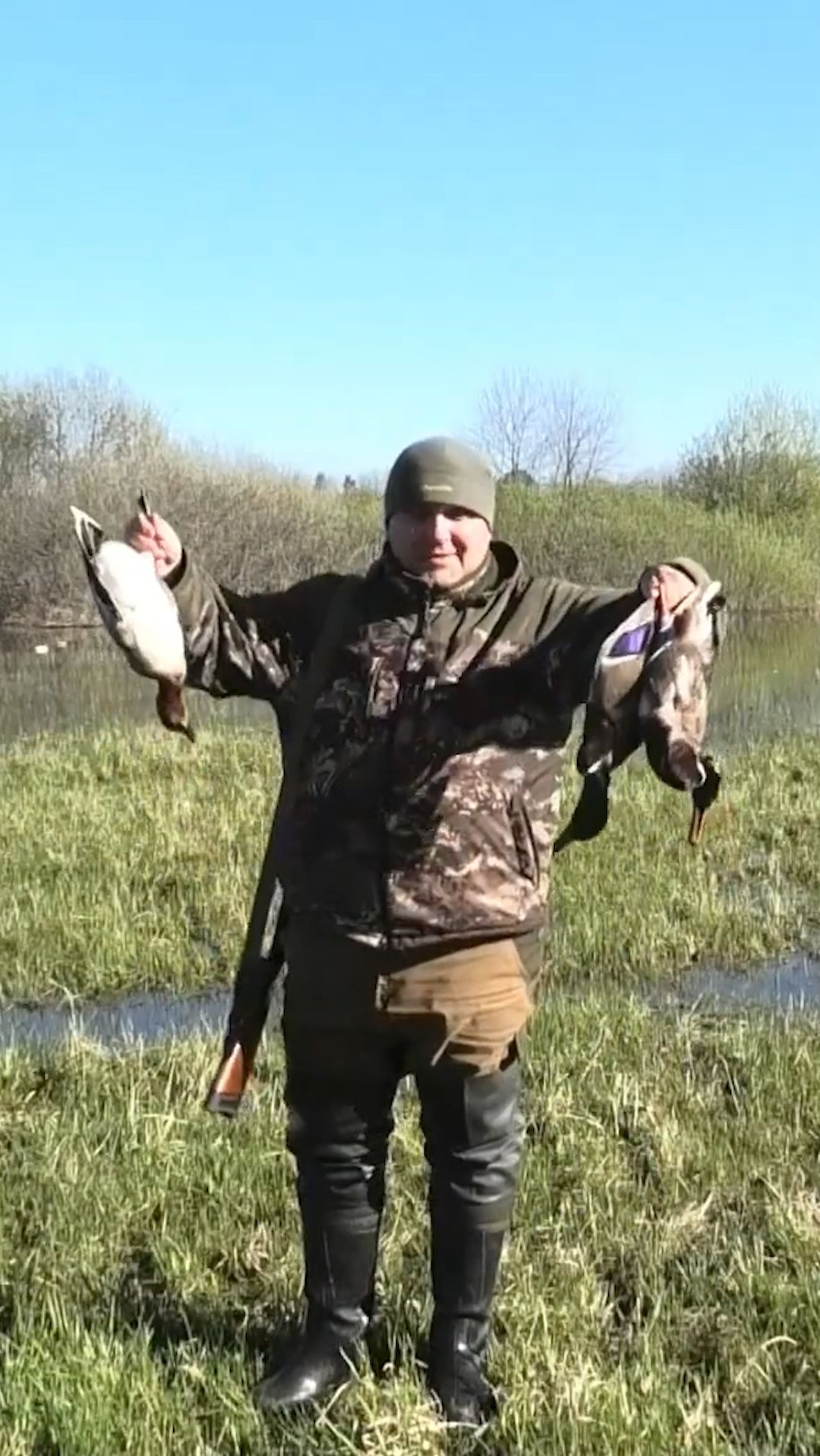 Охота на селезня с коллиматором