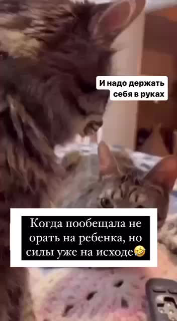 41bc52c1c5861d1cf182edb9fd840146