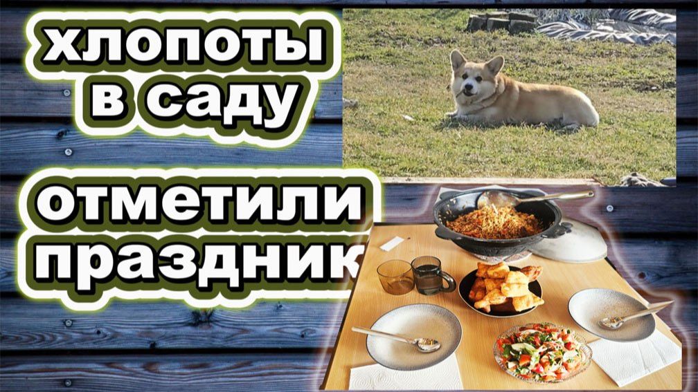 🇰🇿 КАЗАХСТАН 38-26!ПРАЗДНИЧНЫЙ ВЛОГ/ВЫКАПЫВАЛ РОЗУ СЛОМАЛ ДВЕ ЛОПАТЫ/ИГОРЕВИЧ ГОТОВИТ ПЛОВ 🍲