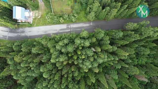 Больше 1300 жителей Ханты-Мансийска решили, какой будет «Долина ручьёв»