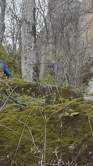 Псебай 2026 сброс со скалы :)