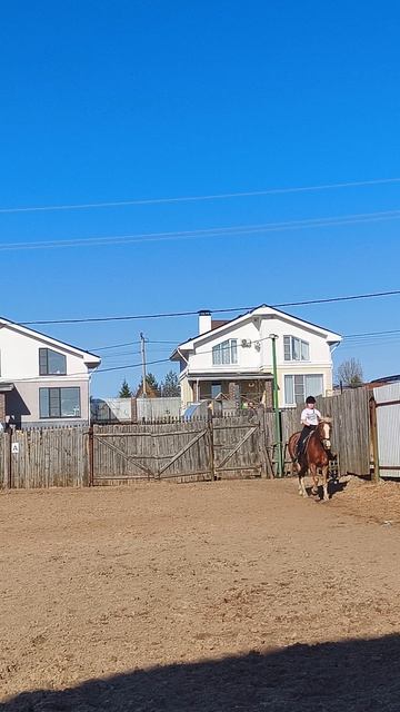 София и Каспер, двадцатиметровый вольт на галопе на А.