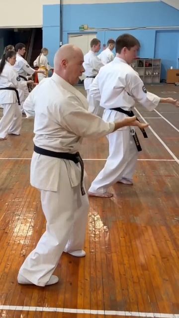 Кёкусинкай / Ката Сусихо / Сихан Фомин В.П. (14.03.26) #60