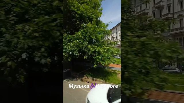 Музыка🎶В дороге.