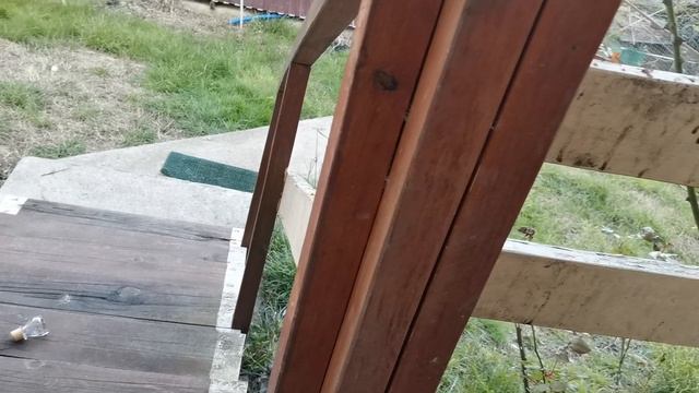 СОЧИ ГОРНОЕ ЛОО ВЕЧЕР 20.04.2026