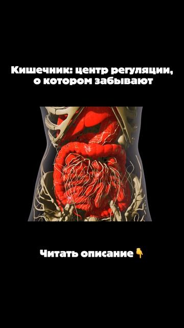 42957565dfe34bdae786fa1446297fda