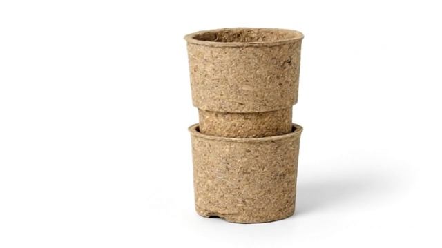 8151620564ce29146060d7a8b968f8b5