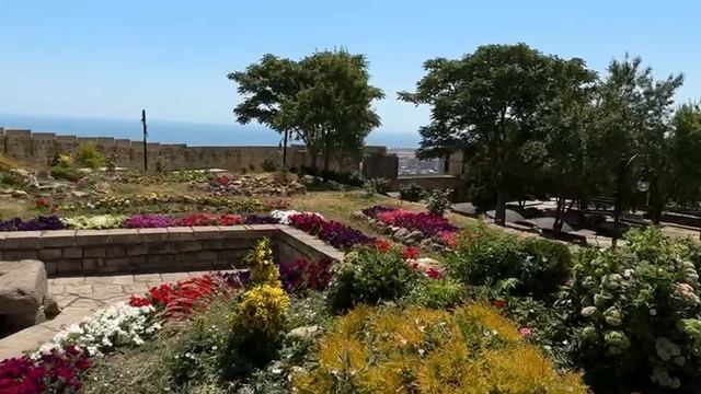 40eadde828a352ffa07924a1f644d238