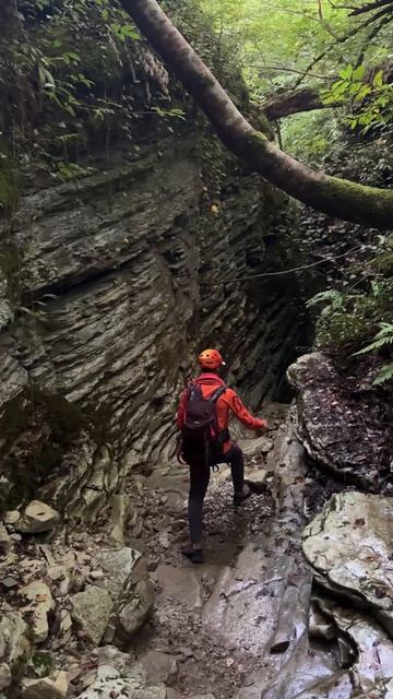 Cca82c6e8f8f6c75ee044930ec180a21