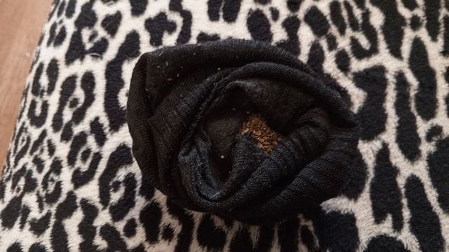 готовим семена моркови для посадки