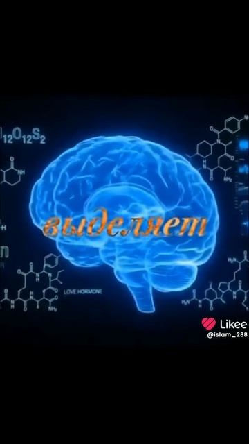 Тест на человека :Вы зарыдали?