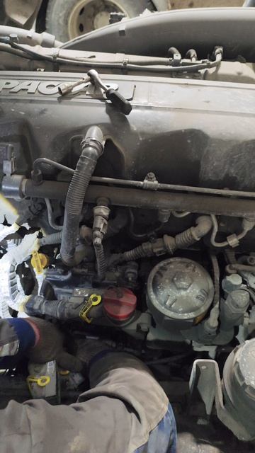 Даф евро 6, выкаблучивается