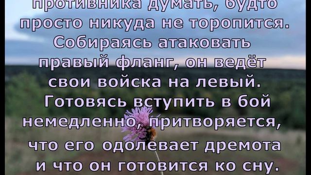 П. Коэльо. О тайне планов. Притча 4. Книга Воина Света