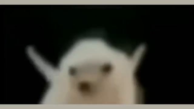 🫪🫪🫪🫪🫪🫪🫪🫪🫪🫪🫪🫪🫪🫪🫪🫪🫪🫪🫪🫪 🫪🫪🫪🫪🫪🫪🫪🫪🫪🫪🫪🫪🫪🫪🫪🫪🫪🫪🫪🫪🫪🫪🫪🫪🫪🫪🫪🫪🫪