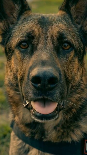 Не трогай незнакомые предметы!