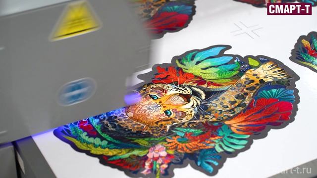 Sprinter TC-F2132, печать на пленке  с глянцевым и матовым лаком