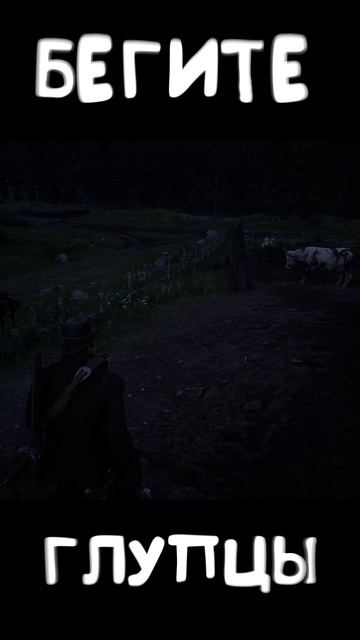 Red Dead Redemption 2 бегите глупцы