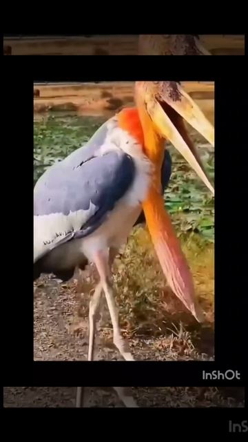 Ca7dcefb15eb8e2670e1f321aa3c7419