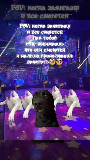 Танцульки🤣