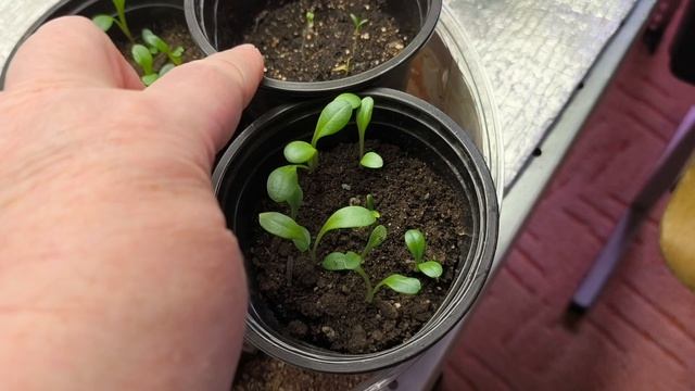 31d61d465fb81f7ea51c04d6cbd2f8e2