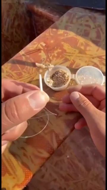 Клип @zatropheem