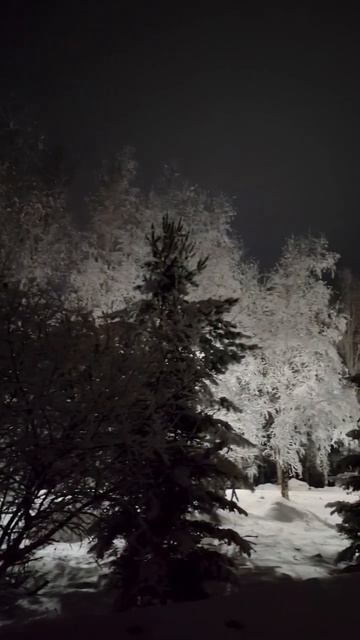 Холод и зима