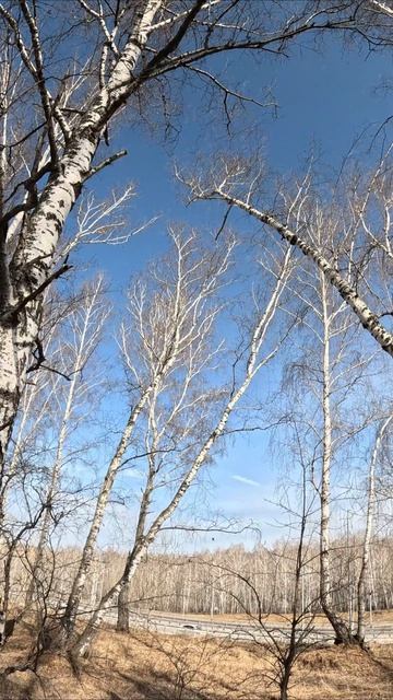 7532656ef71d12099a97981d873072e0