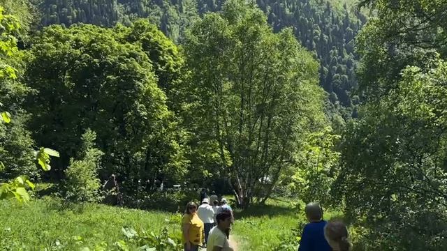 51037f170da396e85b817ca6eb2c458d