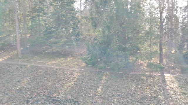 водопад в Павловском парке.mp4