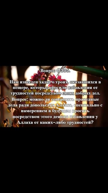 #ислам  #знание  #rmotvet