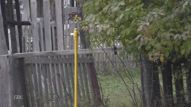 В Томской области продолжается социальная газификация.