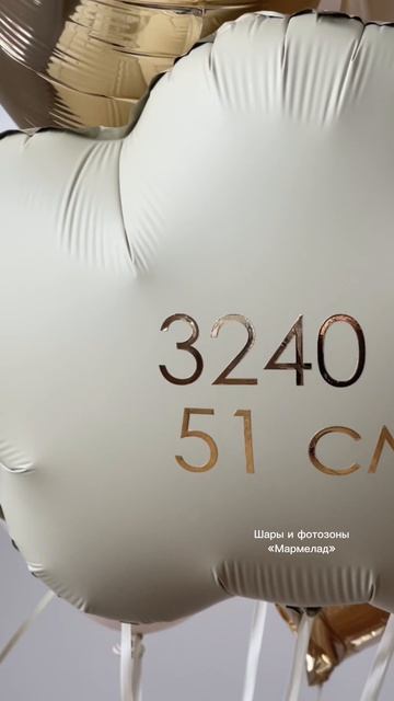 Copy_30645408-6585-4A13-9948-8DCF87688780