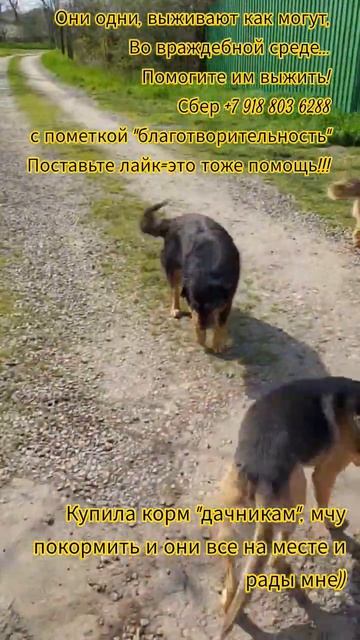 НАС107=106хвостиков  +1человек!