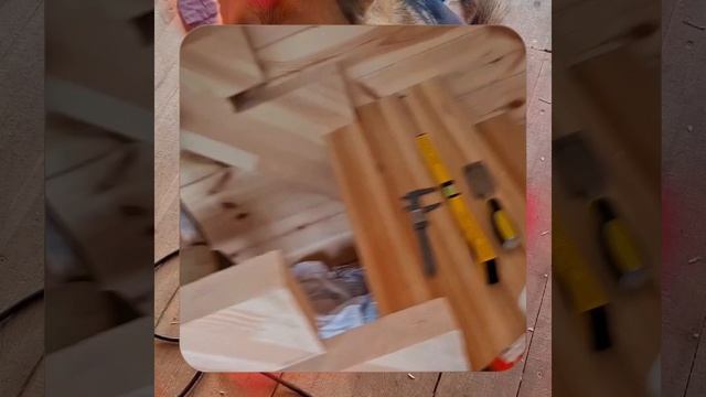 57523612406cdd9a9d53e5344423955e