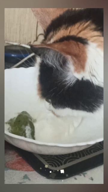 94364cbe1e0b360c790a56e7ef0326c3