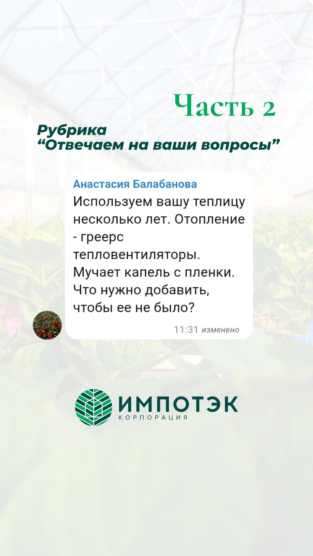 Капель в теплице, что делать? Часть 2