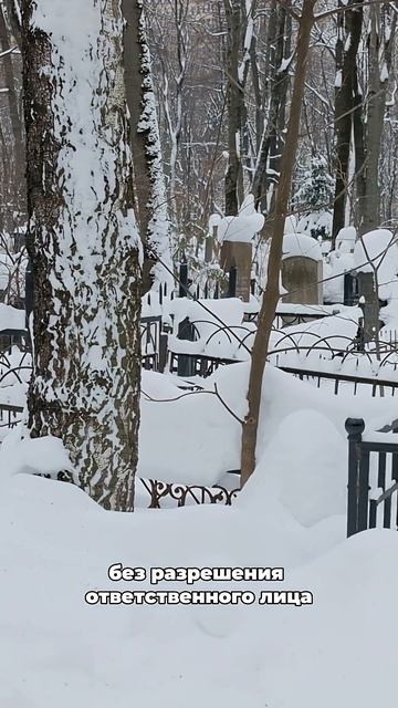 3684d9b962a6001e9d4ede6bb8502efd