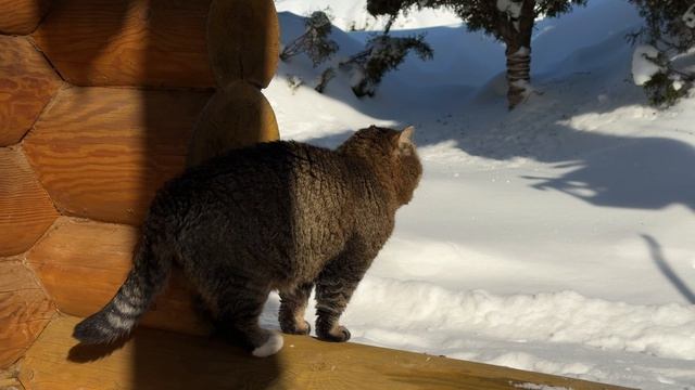 Dd4bca03ffb5b6f5a0cfcd13139573a0