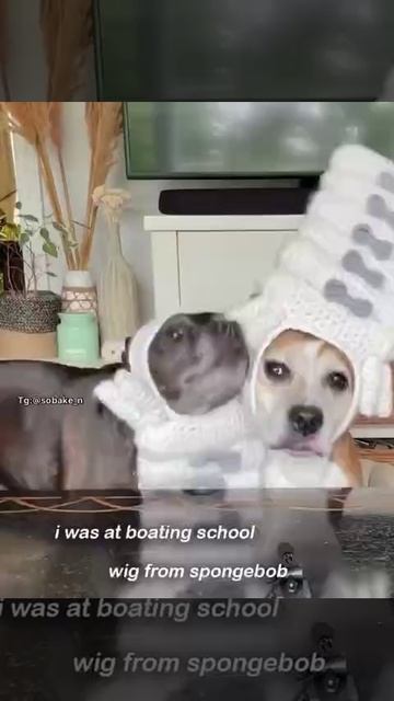 VID_20260420_124934_131.mp4